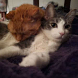 Meet your Posher, Rita